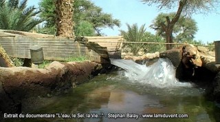 l'Eau, le Sel, la Vie - 30 l'Eau, le Sel, la Vie - 30