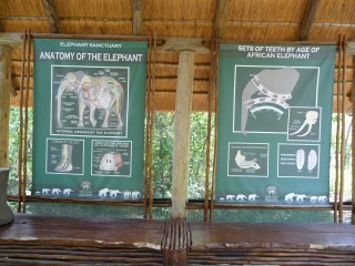 Le sanctuaire de éléphants de Hazyview Le sanctuaire de éléphants de Hazyview