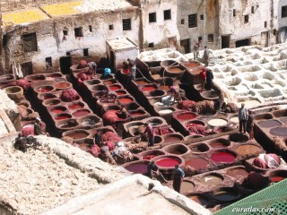 Les tanneries de Fès Les tanneries de Fès