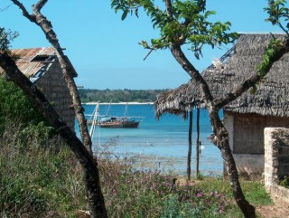 Paysage Paysage